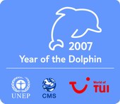 Year of the Dolphin